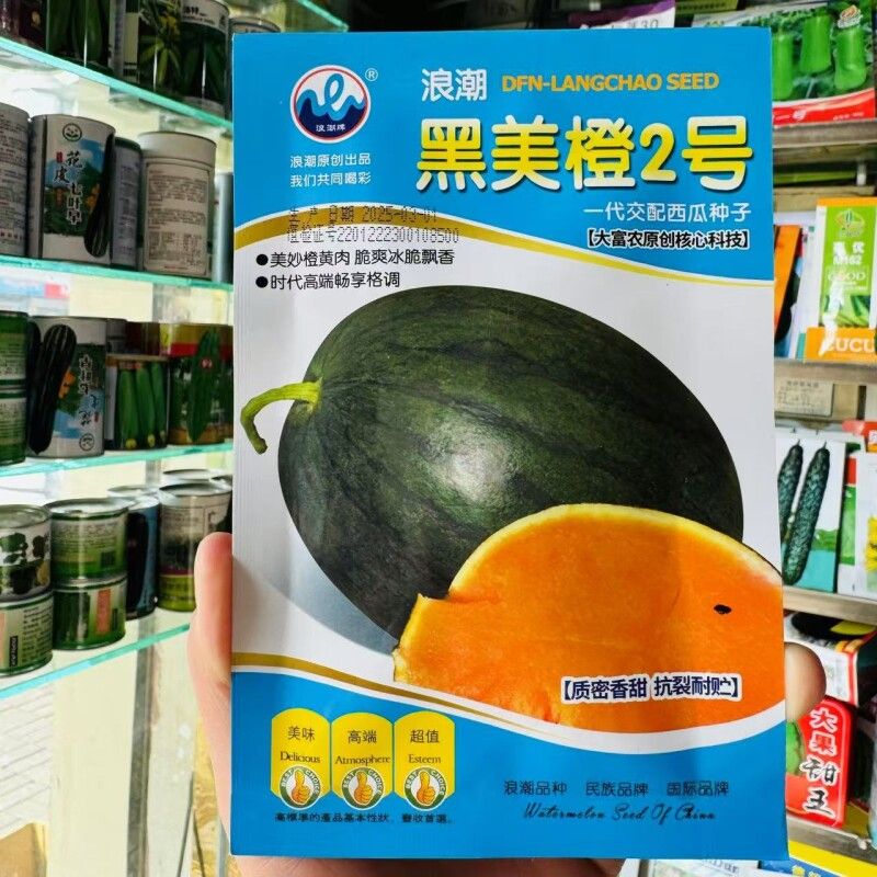 浪潮黑美橙2号西瓜种子200粒早熟优质种籽黑皮橙黄瓤脆抗病皮薄瓜