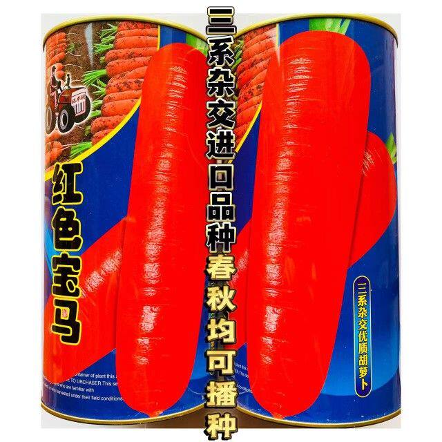 至尊909胡萝卜种籽红笋808三系杂交高产耐寒春秋播三红胡萝卜种子