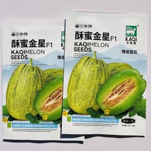 酥蜜金星甜瓜种子早熟杂交薄皮甜瓜种子灰绿略黄绿肉脆甜腔小肉厚