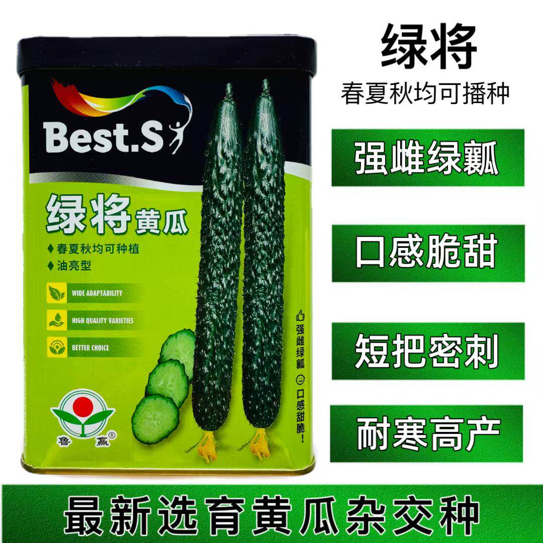 油亮绿将黄瓜种子耐热绿心黄瓜种籽强雌耐寒性好产量高绿肉黄瓜子