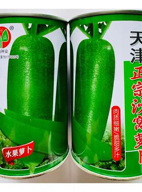 正宗天津沙窝萝卜种籽冰糖水果萝卜种子脆甜沙窝水果萝卜种孑