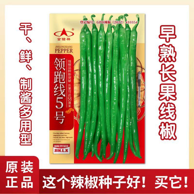 领跑线5号长果线椒种子早熟多用型易种植高产品质优青红线椒种子