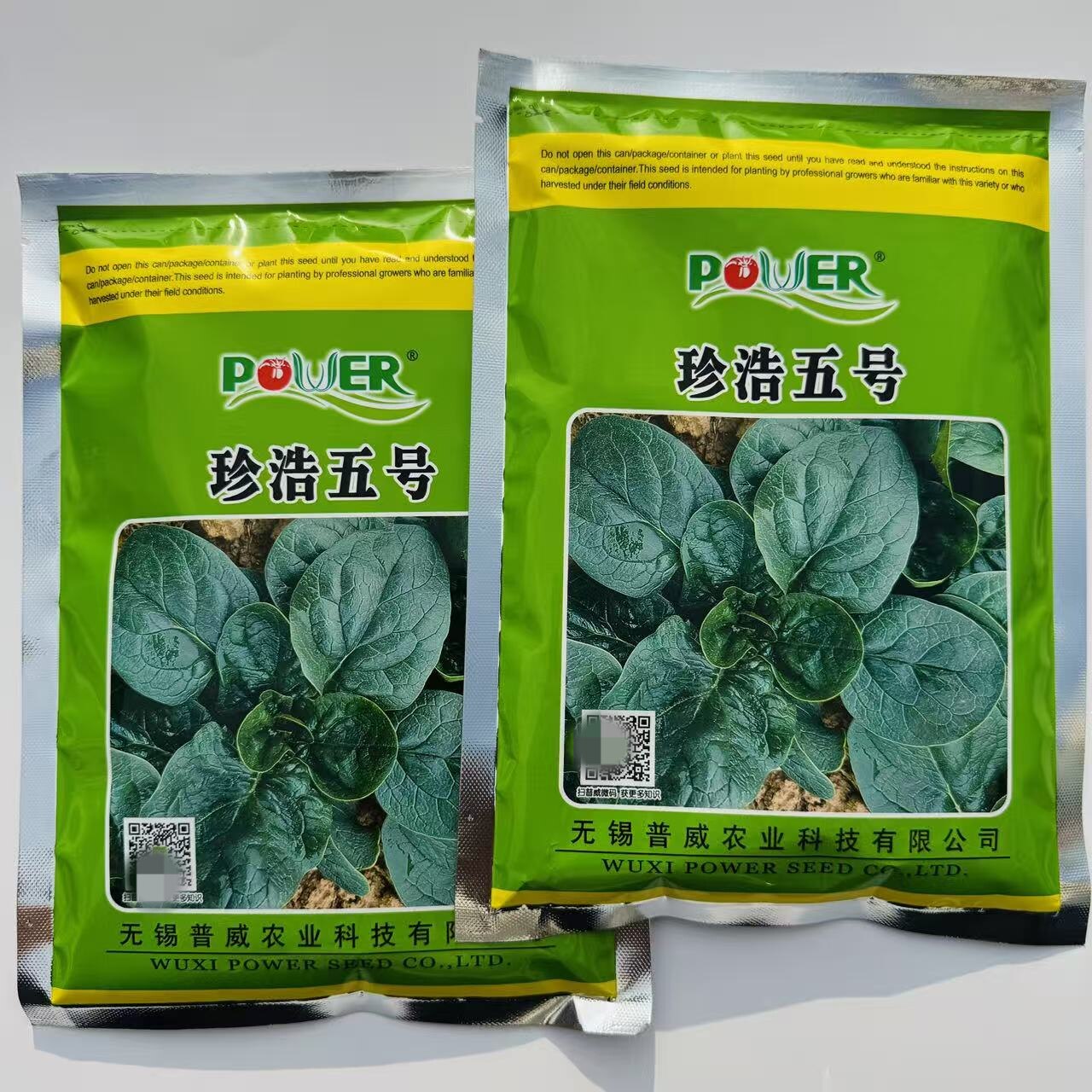 珍浩五号趴地菠菜种子普威大圆叶黑亮短柄厚叶抗霜霉病菠菜种子籽