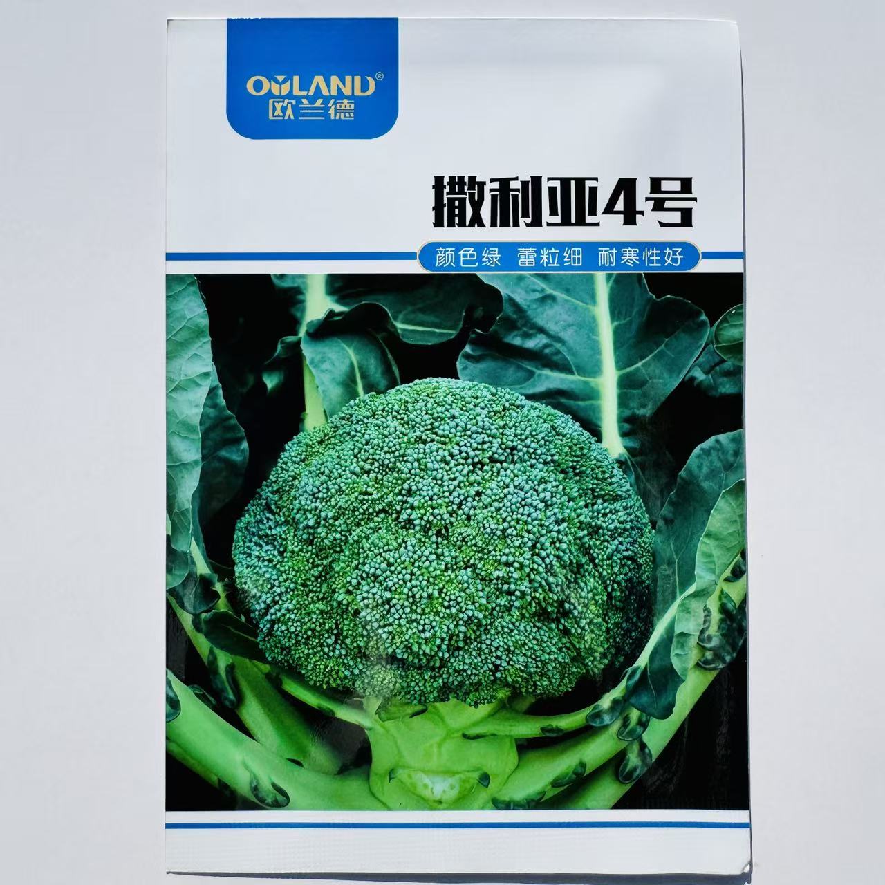 欧兰德种子撒利亚4号西兰花种子耐寒青花菜西蓝花种子颜色绿