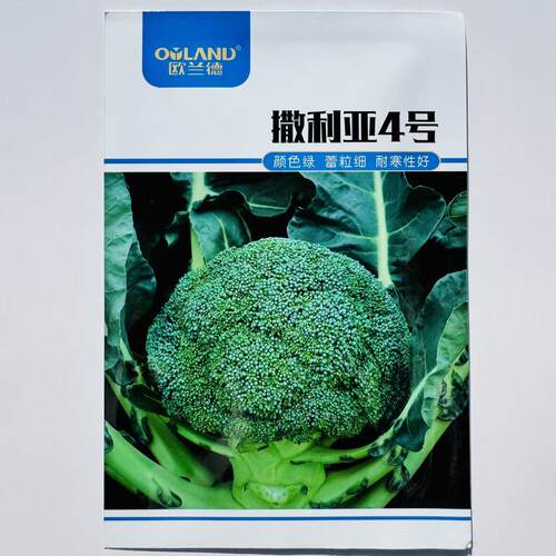 欧兰德种子撒利亚4号西兰花种子耐寒青花菜西蓝花种子颜色绿