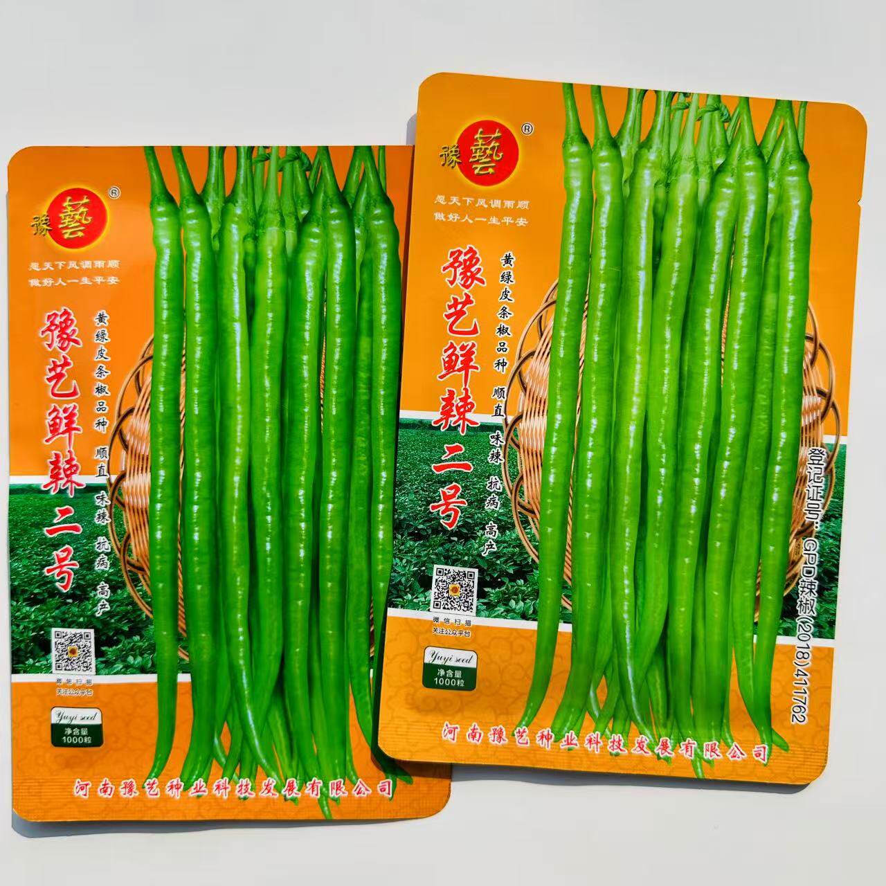豫艺鲜辣二号黄绿皮线椒种子特辣早熟长线椒种籽条椒二荆条种子