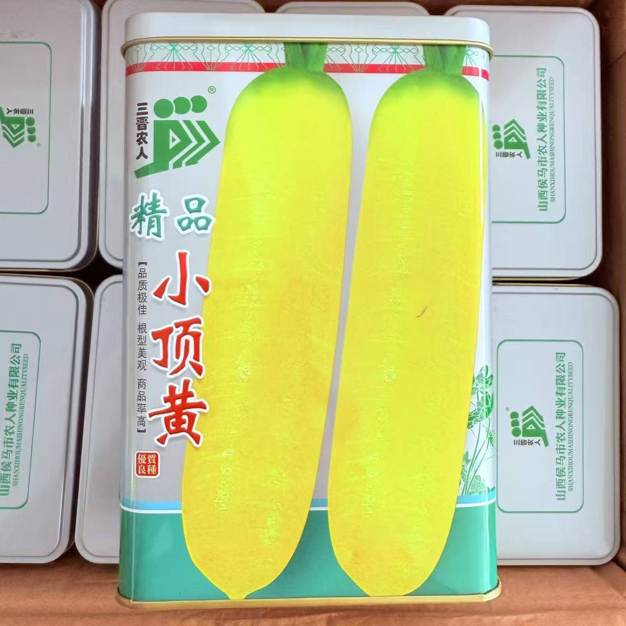 精品小顶黄胡萝卜种子生吃脆甜水果萝卜种籽齐头黄高产优质蔬菜种
