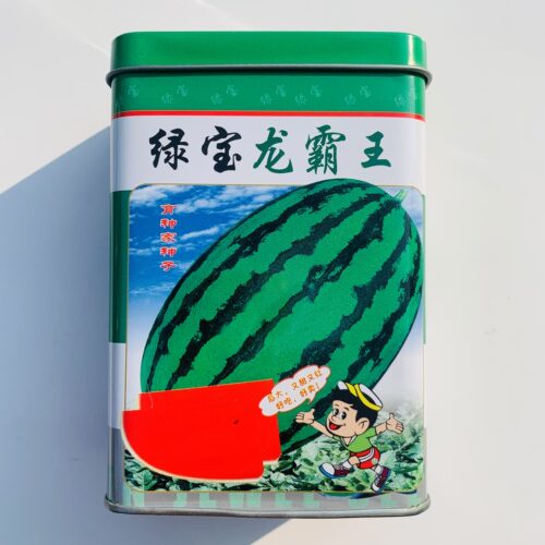 超甜绿宝龙霸王F1西瓜种子抗病高产易座果含糖14度大花皮西瓜种籽