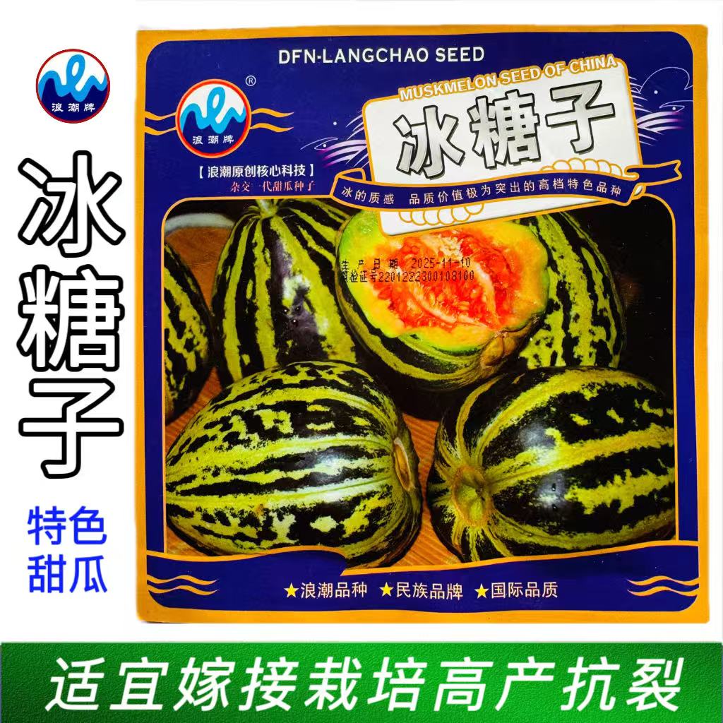 浪潮牌冰糖子甜瓜种子口感脆甜似冰糖 花皮橙壤甜瓜 高糖甜瓜种子