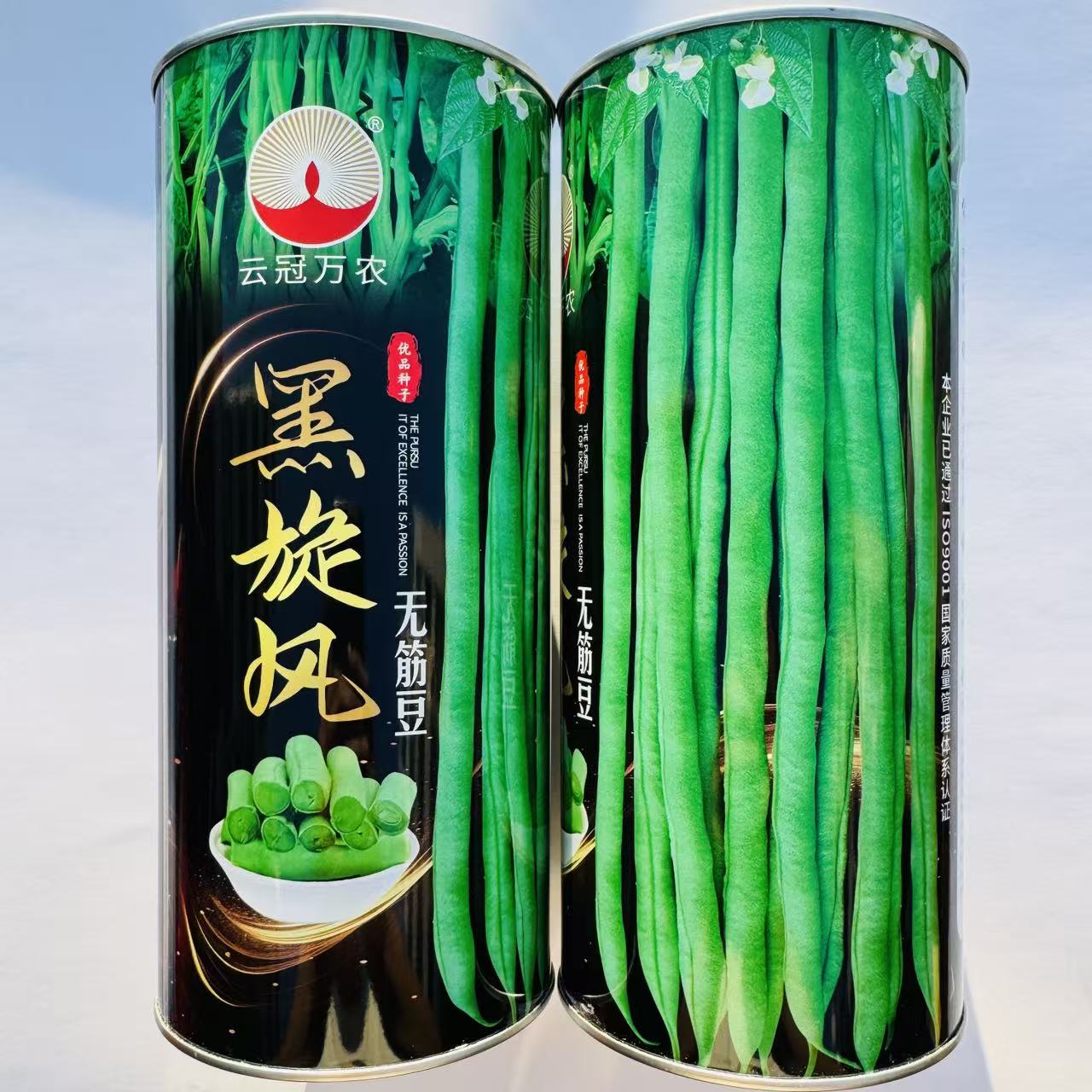 云冠黑旋风无筋豆种子蔓生嫩绿荚肉质厚耐中早熟老化抗病强春秋播