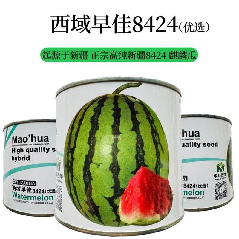 西瓜种子优选种籽西域早佳优选西