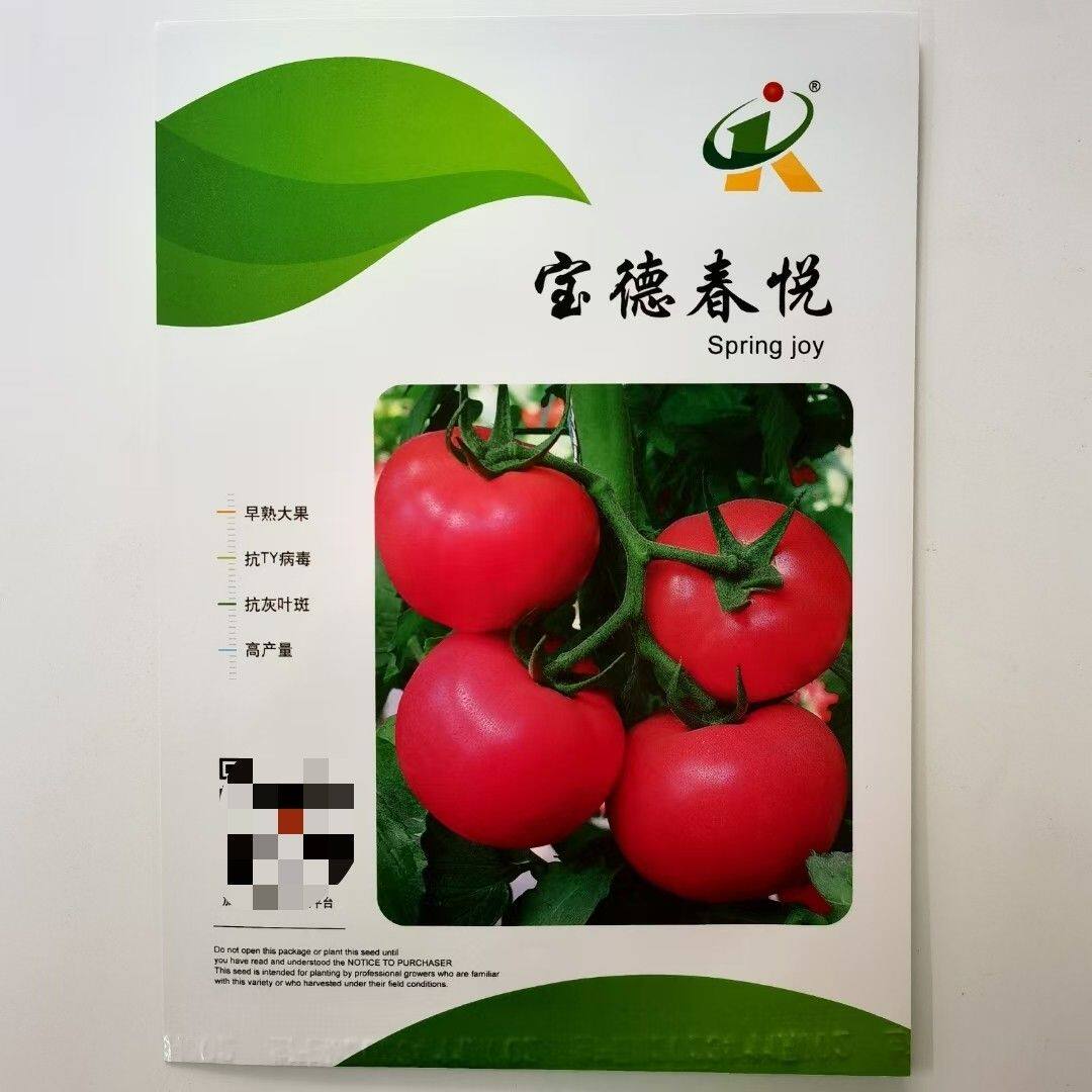 安特莱斯番茄种子宝德春悦美国圣尼斯进口越冬口感型沙瓤大果西红