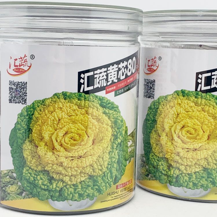 汇蔬黄芯80杂交黄心乌种籽高产耐