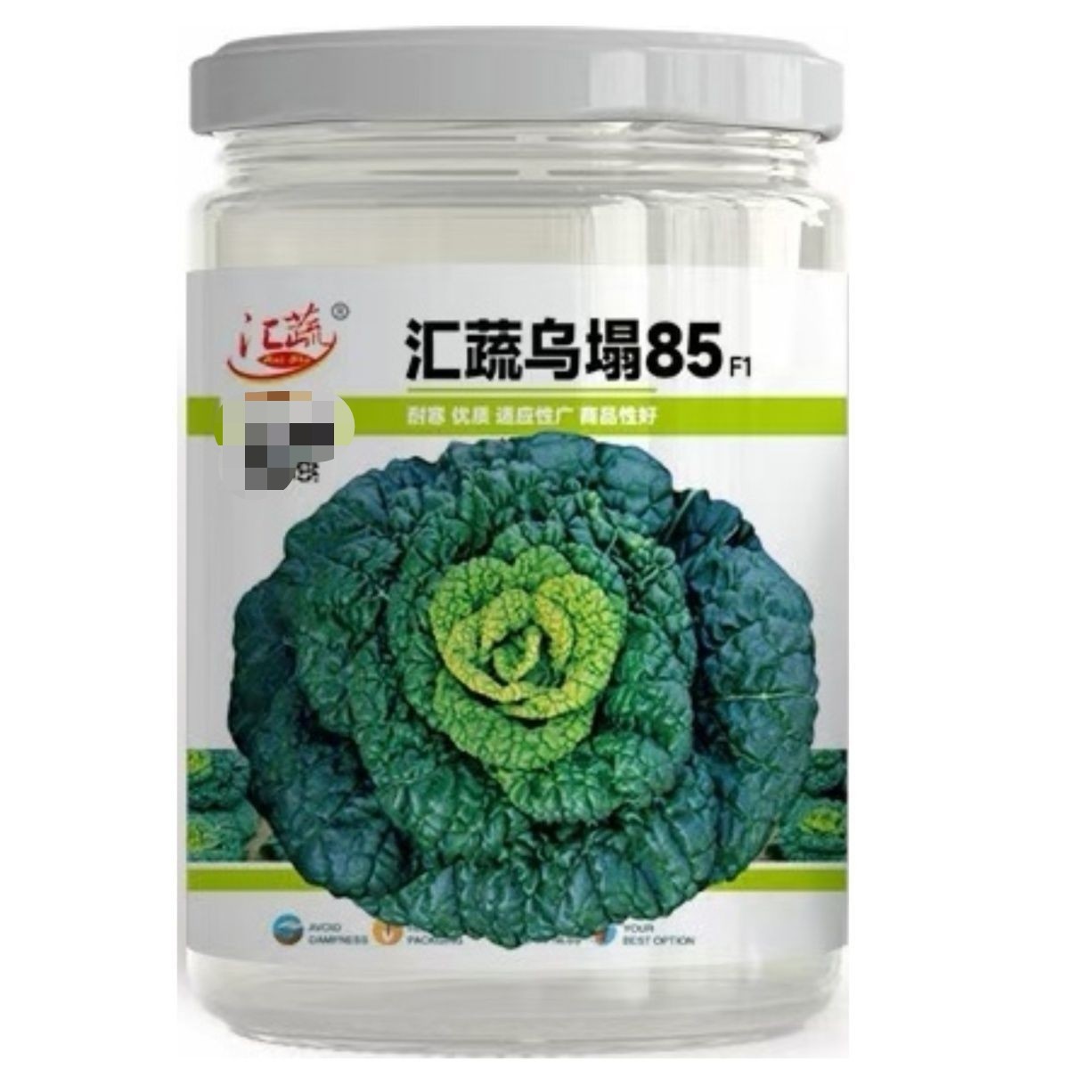 汇蔬乌塌85乌塌菜种籽高产耐寒春秋播矮脚白梗黄心乌种子越冬菜孑