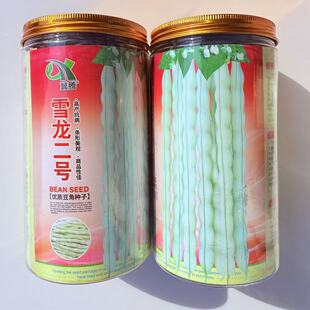 雪龙二号优质豆角种子无纤维丰产抗病四季豆种籽春秋播种梅豆种孑