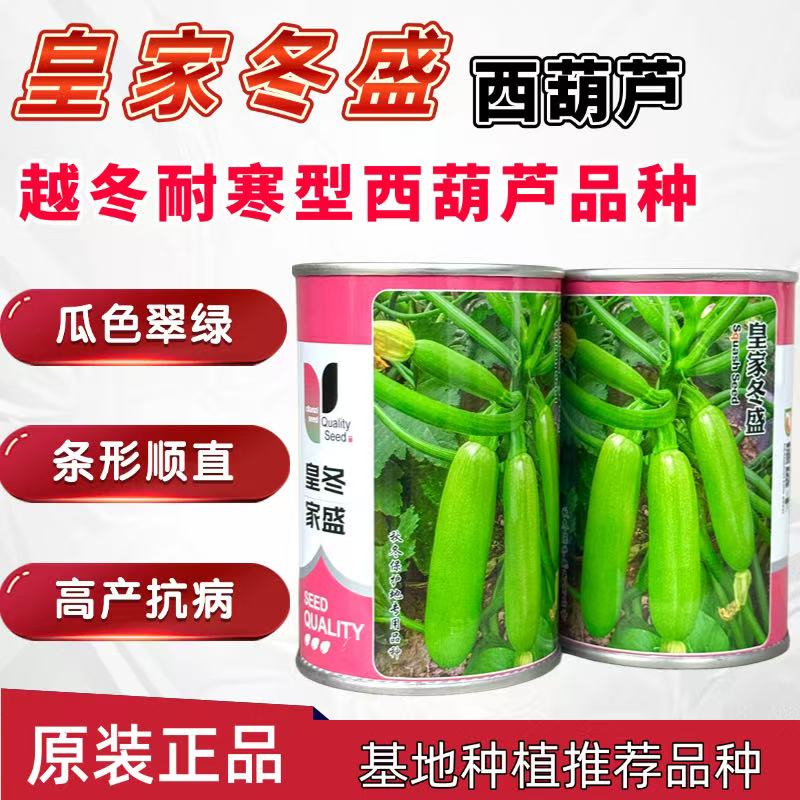 皇家冬盛西葫芦种子耐寒越冬秋冬茬西葫芦瓜皮翠绿油亮顺直耐低温