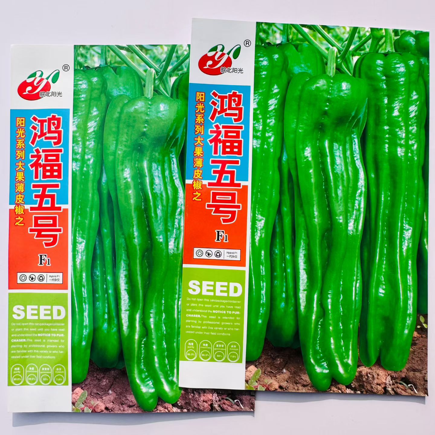 鸿福五号辣椒种子早熟高产抗病耐热耐寒农家菜园基地种植辣椒种籽