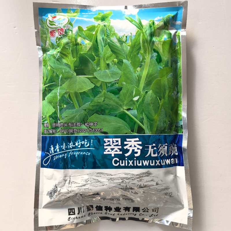 蜀信翠秀无须豌豆尖种子绿叶豌豆苗荷兰豆芽苗菜孑秋冬季田园蔬菜