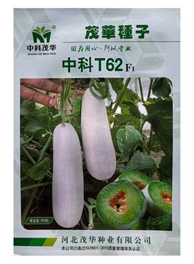 中科茂华蔬菜瓜果种子博美62甜瓜种子替代羊角蜜香瓜种子中科62博