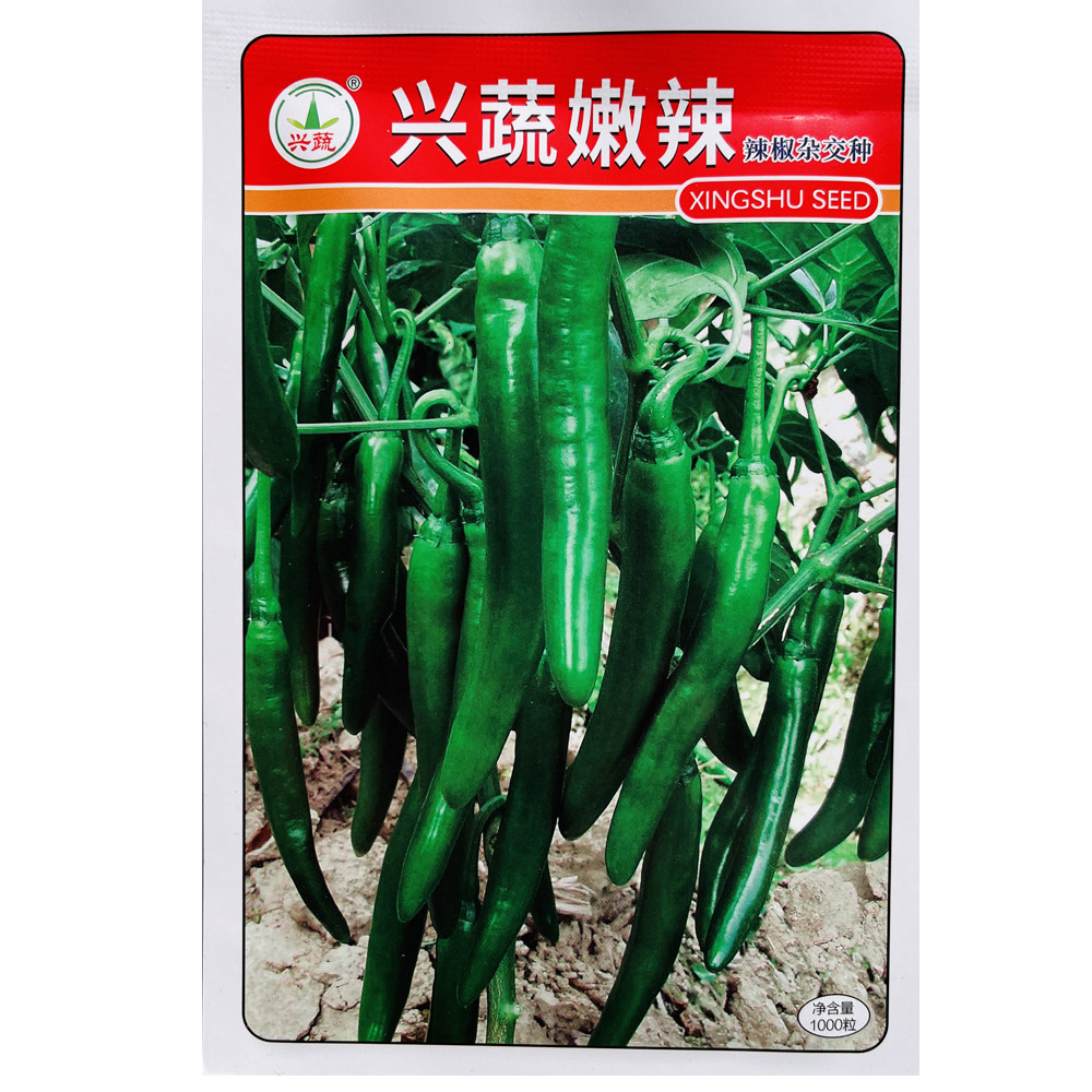 兴蔬嫩辣辣椒种子中熟青果深绿色辛辣鲜红两用羊角椒种子1000粒