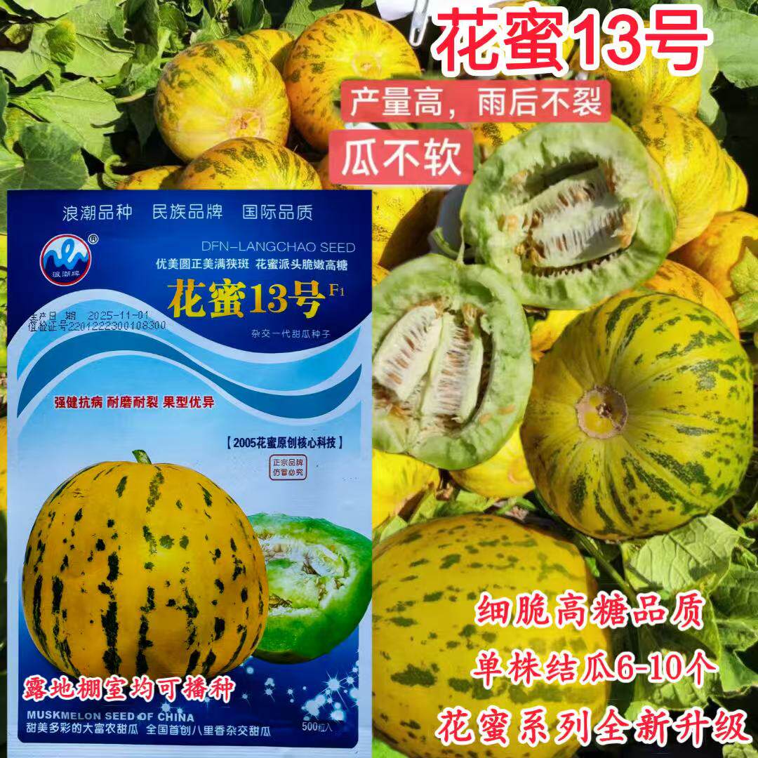 浪潮花蜜13号甜瓜种子花皮绿瓤香瓜种籽高产抗病口感好八里香甜瓜
