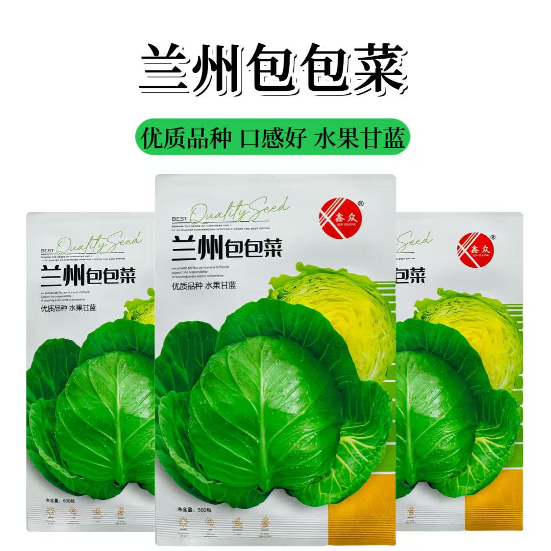 兰州包包菜水果甘蓝种子早熟圆球型包菜抗逆性强耐裂球甘蓝种子