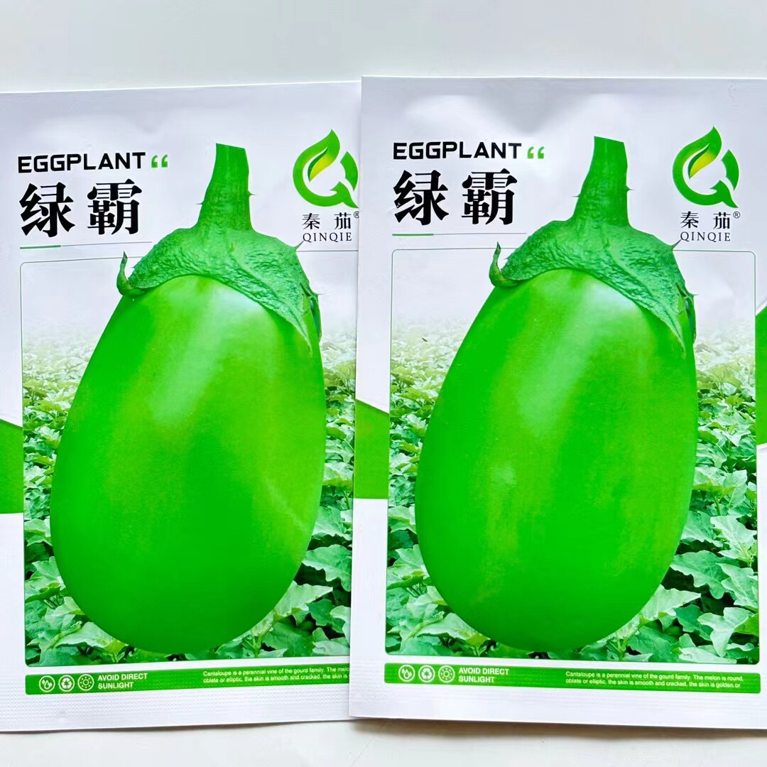 秦茄绿霸青茄子种子早熟杂交绿茄深绿油亮卵圆型青皮绿皮茄子种子