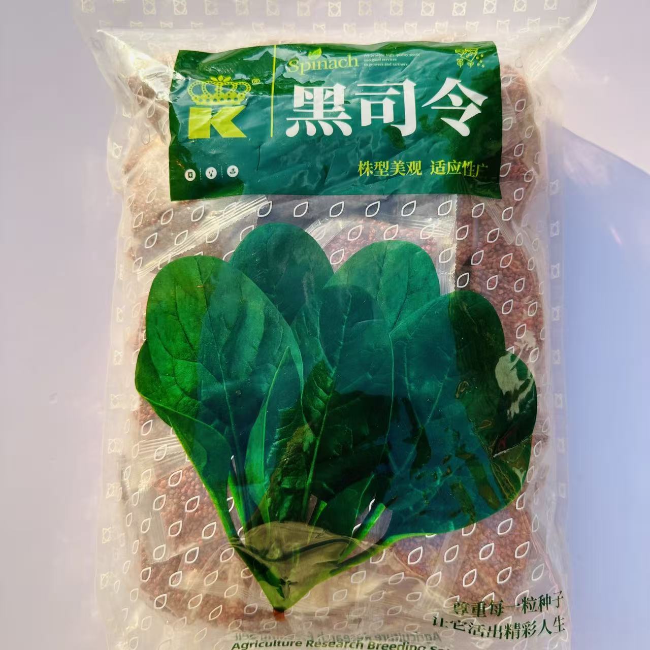 黑司令菠菜种子中早熟尖圆叶叶绿有光泽韧性好高产菠菜种籽秋播孑