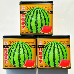 蔬菜瓜果西瓜种子大全红瓤西瓜种籽红遍天下薄皮红瓤西瓜籽种高产