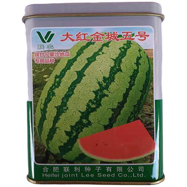 金城5号西瓜麒麟西瓜无籽西瓜宁夏富硒西瓜薄皮石头抗病春季夏季