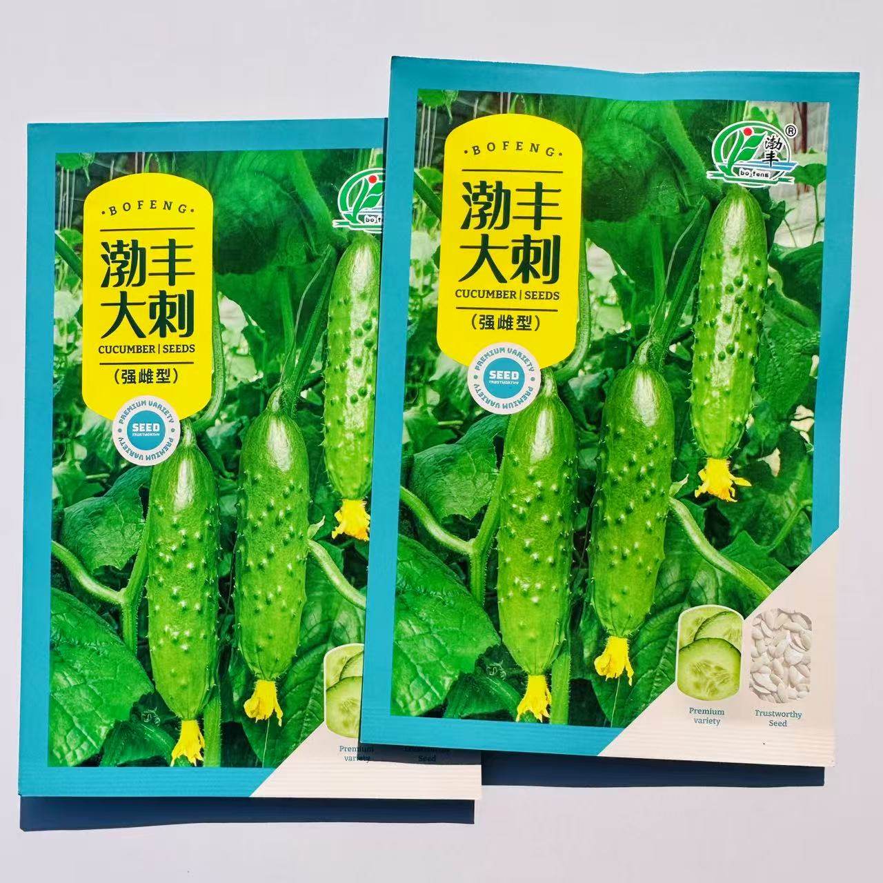 渤丰优质瓜果蔬菜种子四季易种高产露地大棚庭院大刺黄瓜种子