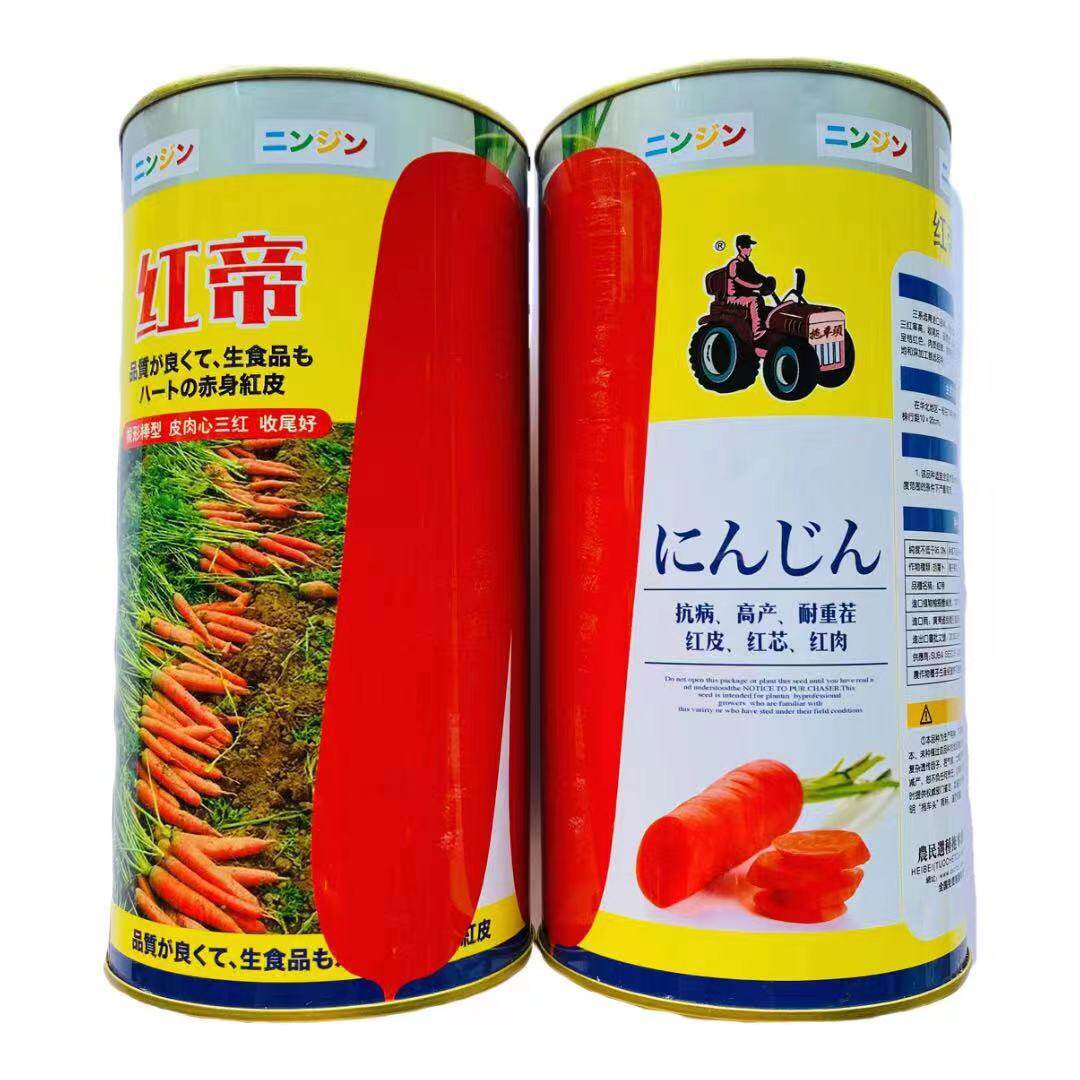 拖车头红帝胡萝卜种子早熟三红七寸胡萝卜种籽高产抗病秋季播种