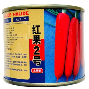红果2号胡萝卜种子水果型黑田七寸参胡萝卜籽皮肉桔红色抗病丰产