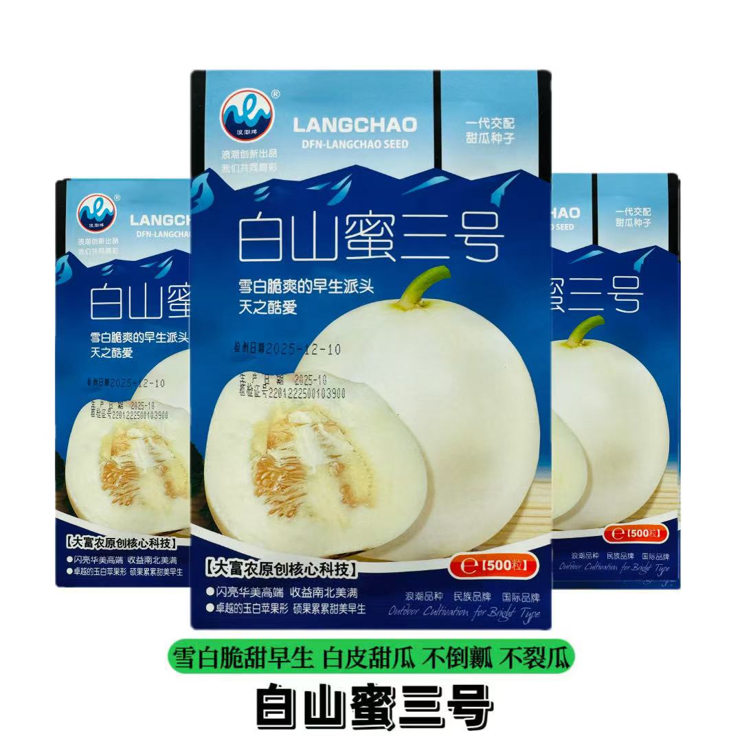 白山蜜三号甜瓜种子杂交白沙蜜甜瓜种籽耐裂高糖白皮白肉香瓜种子