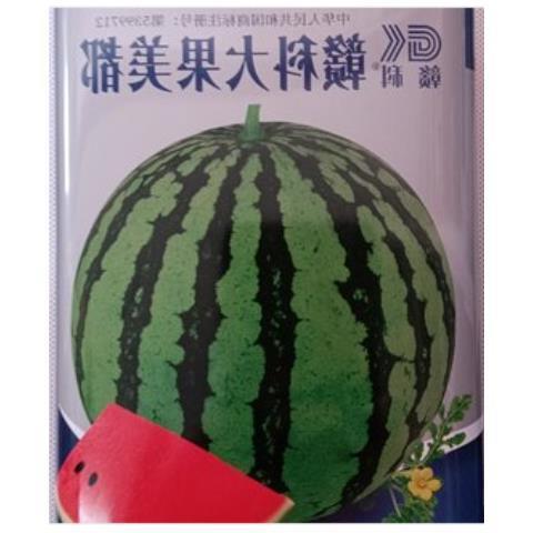 茂华金美都西瓜种子耐裂抗
