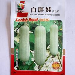 株洲白关丝瓜 白胖娃早白丝瓜种子 杂交香甜早熟春夏10g原装种子