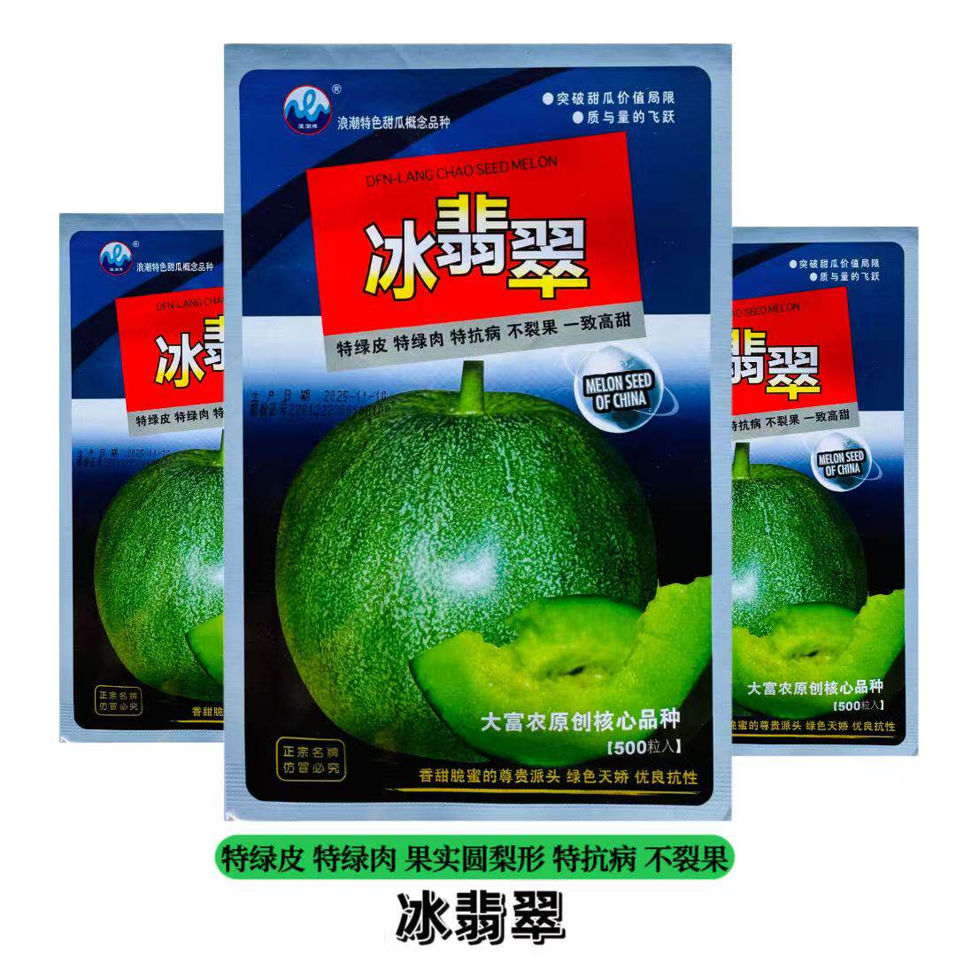浪潮冰翡翠甜瓜种子 绿皮绿肉高糖特抗裂抗病香甜瓜种籽春播高产