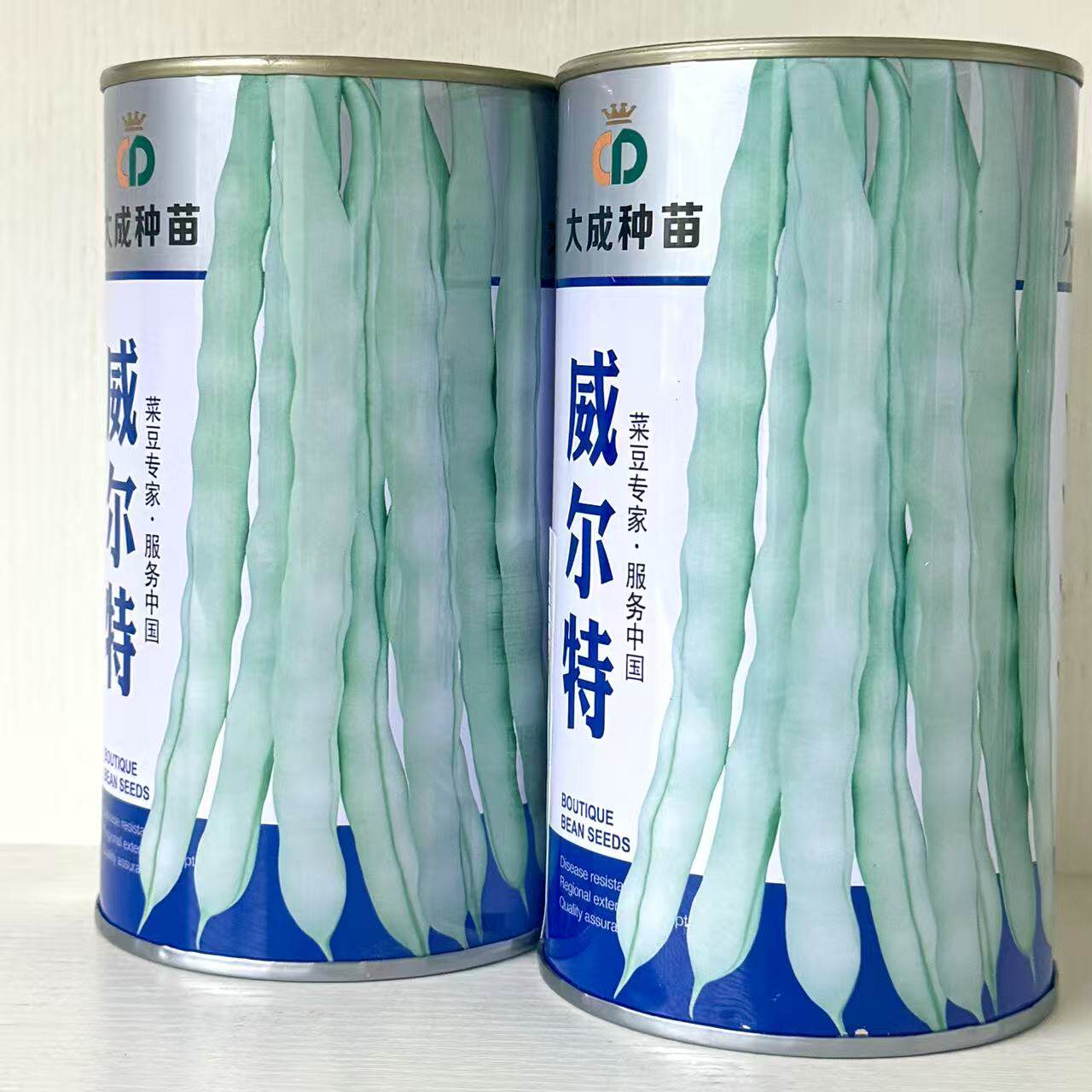威尔特架豆种籽早熟白芸豆种子豆荚圆扁型绿白色口感无筋芸豆种子