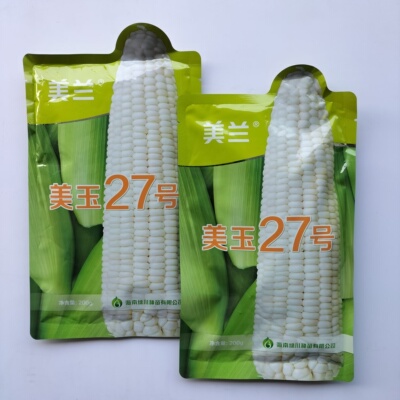 美兰美玉27号加糖版甜味糯绿皮大棒早熟矮杆甜糯绵密香甜大田种孑