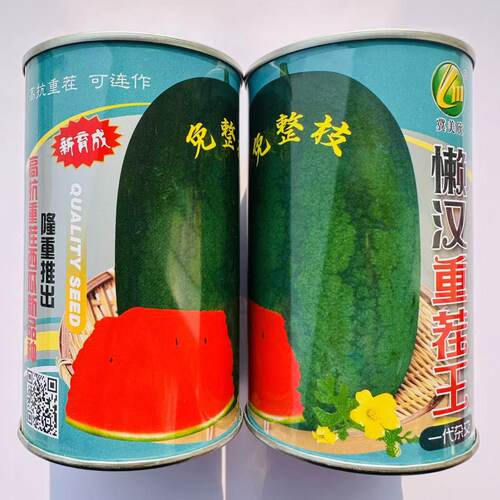 懒汉重茬王西瓜种子巨型特大免整枝抗病麒麟懒汉龙卷风水果西瓜籽