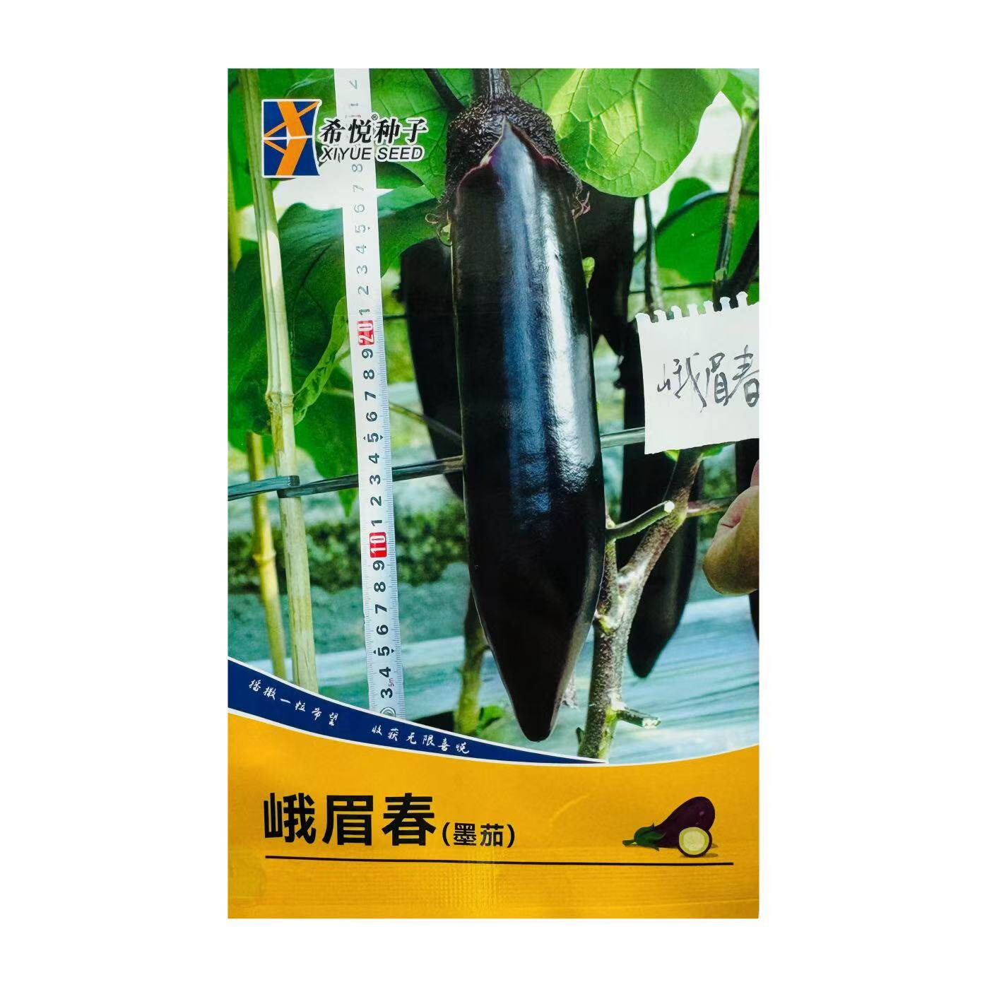 峨眉春黑茄种子光亮油黑高产优质墨茄种籽春秋季大田农家蔬菜种孑