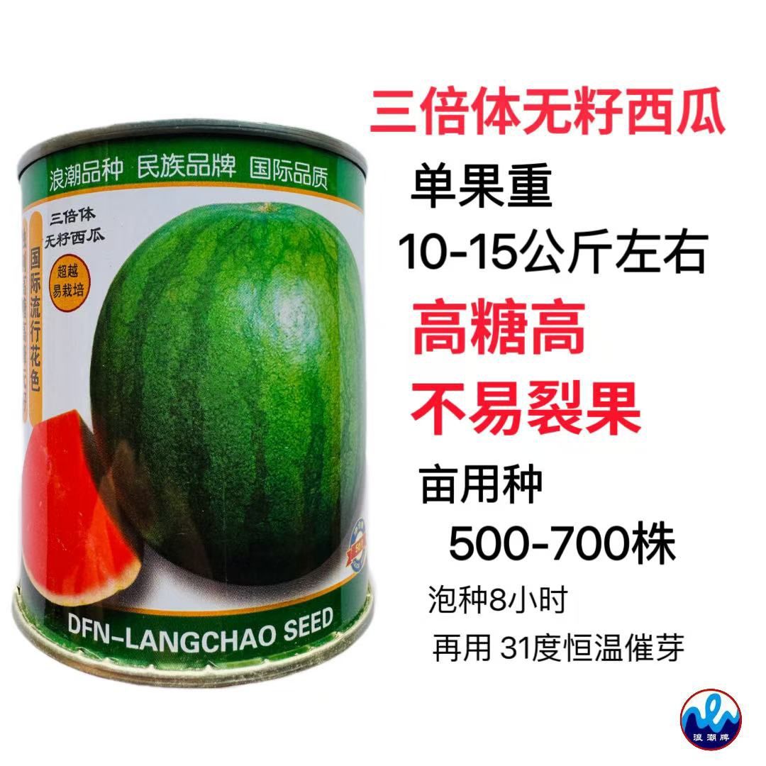 浪潮一号无籽西瓜种子中晚熟高糖花皮西瓜种籽耐贮运抗病高产耐裂