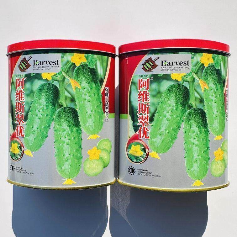 【只卖】阿维斯翠优水果黄瓜种子强雌型水果黄瓜早熟高产抗病