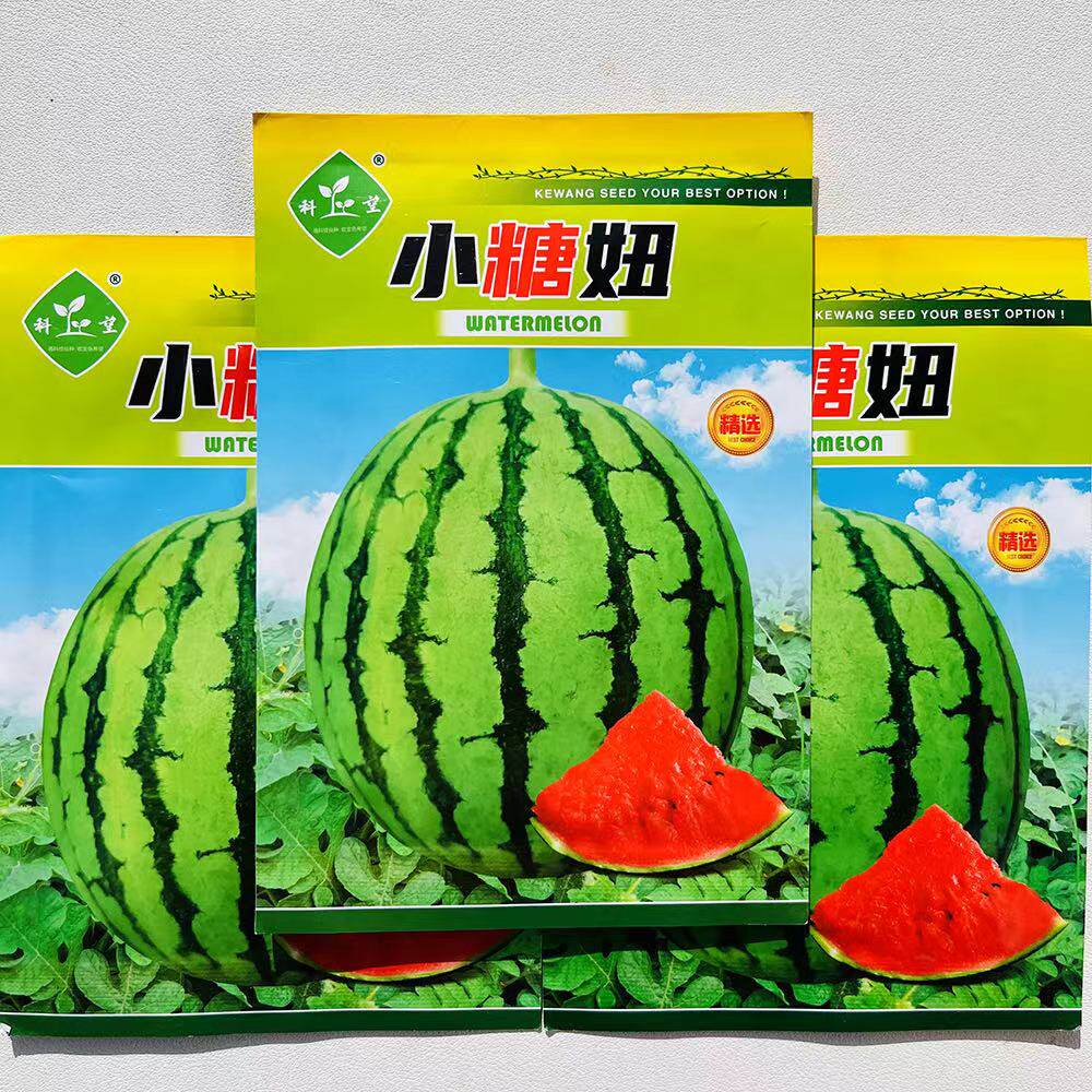 科望小糖妞西瓜种子极早熟果实圆形瓤色大红肉质细脆汁多抗病高产