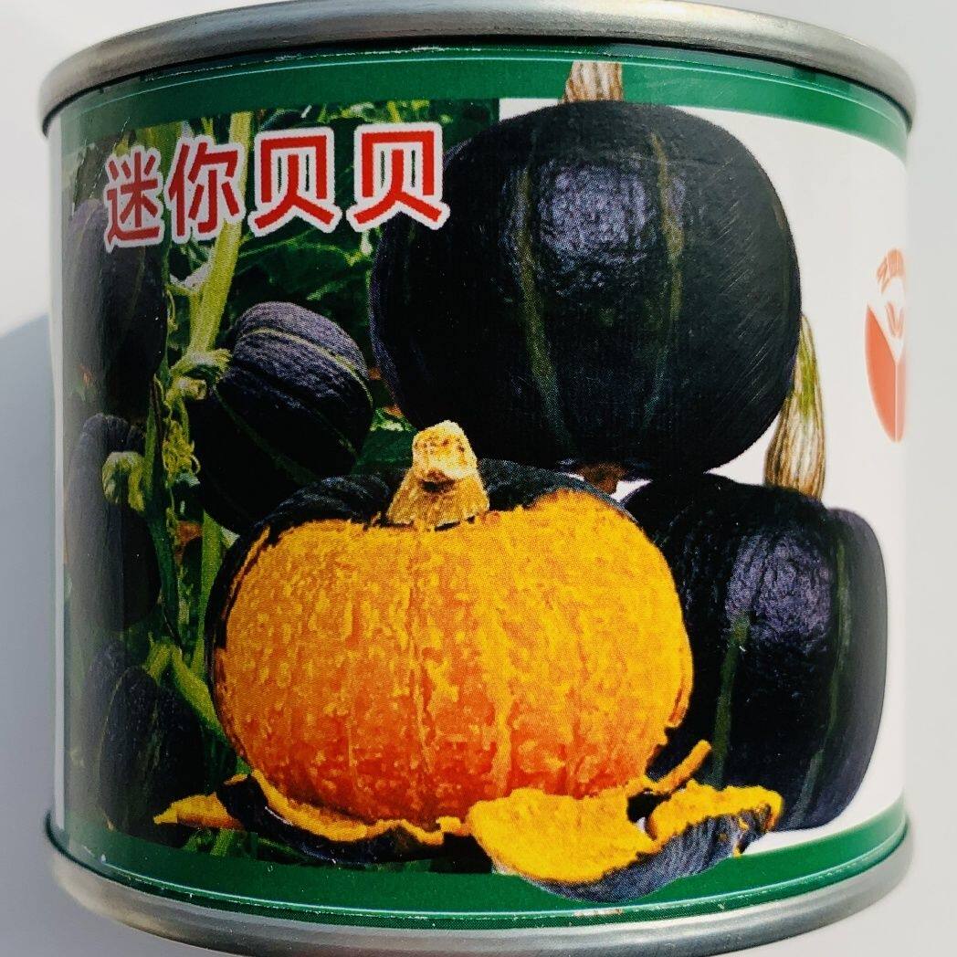 贝贝南瓜种子 迷你贝贝南瓜种籽甜板栗粉面糯香四季高产蔬菜种子