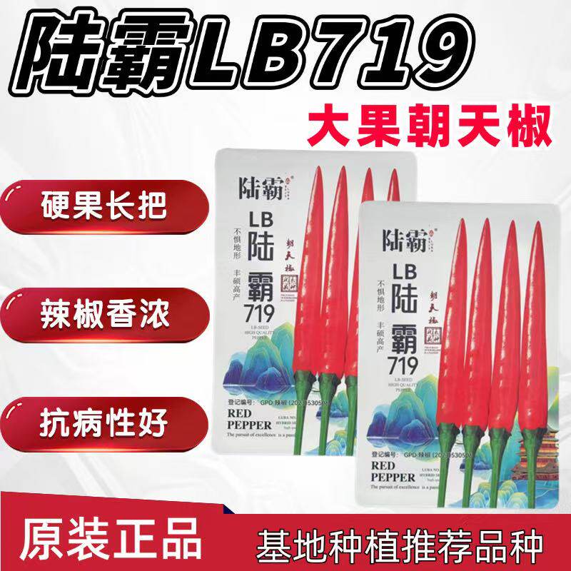 陆霸719 大果朝天椒种子超辣辣椒抗病丰产长把硬果朝天椒种籽抗病