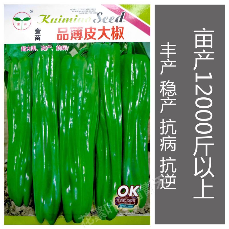 早熟辣椒种子种薄皮大果泡椒种籽青椒皱皮虎皮椒春季蔬菜种子四季