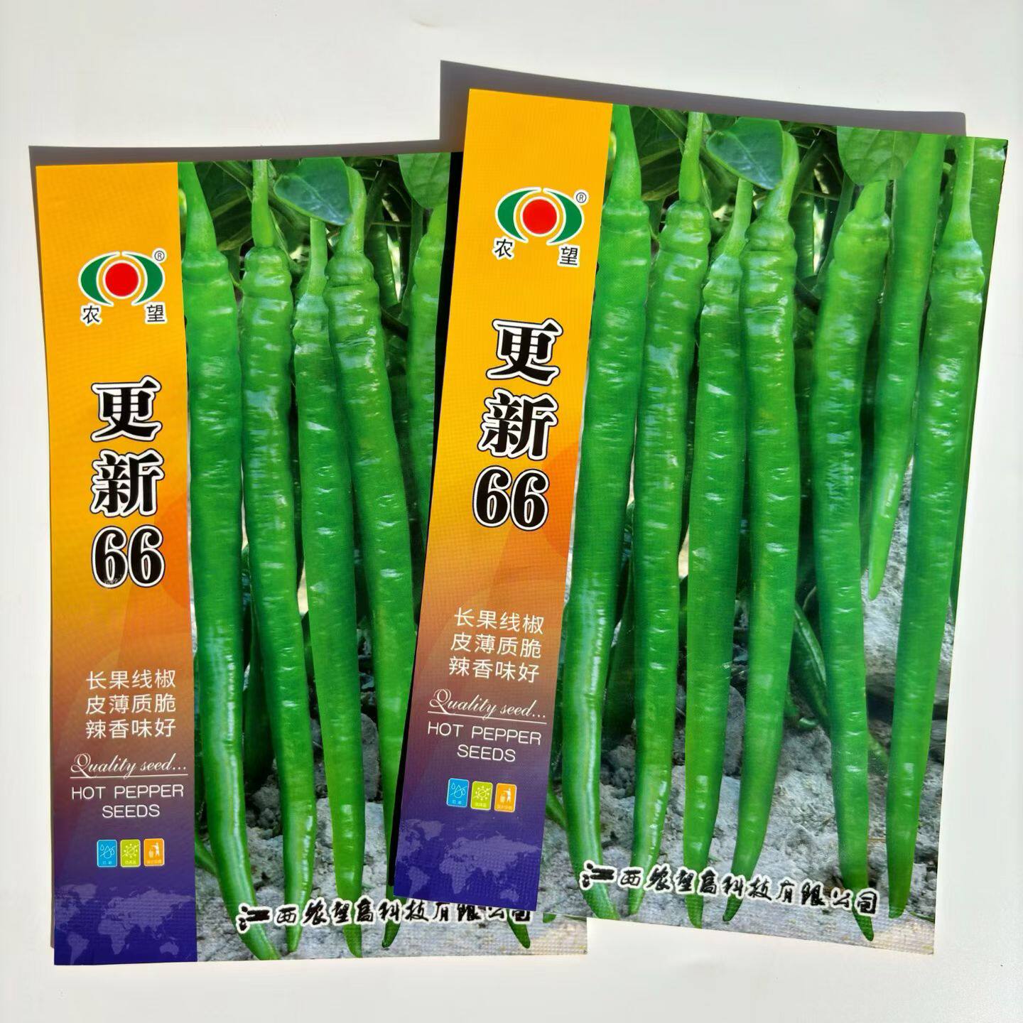 更新66辣椒种子红椒特长高产抗病薄皮香辣二荆条线椒大棚蔬菜种籽