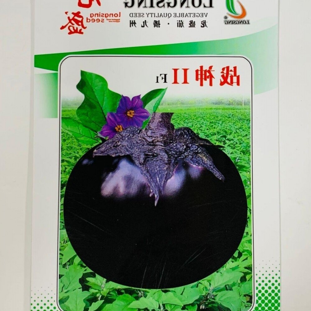黑龙圆茄子种子快圆茄种子种籽 基地专用 快 四季播茄子种籽特大