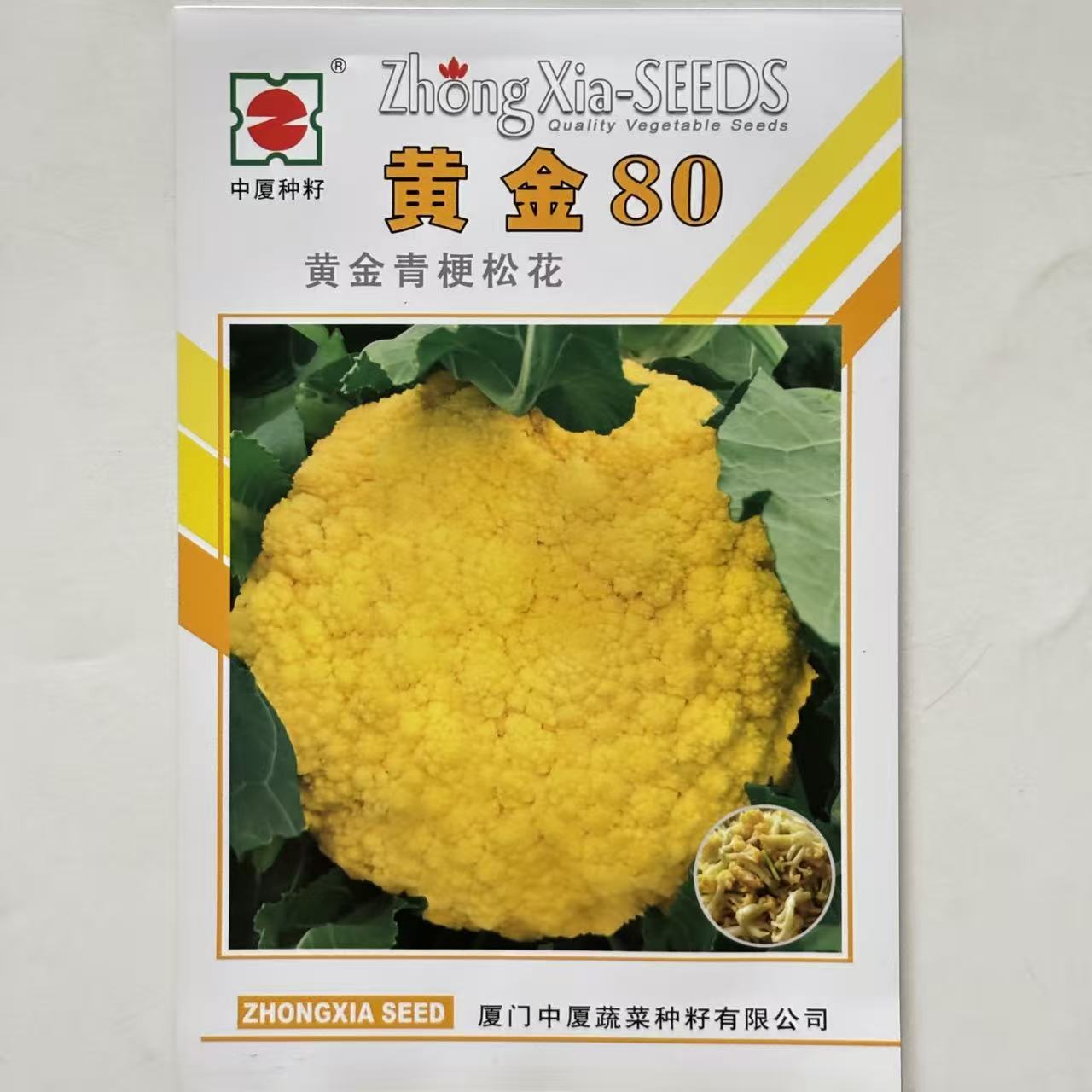 黄金80金色青梗花菜种子花椰菜早熟特色蔬菜种 春秋播西兰花菜籽